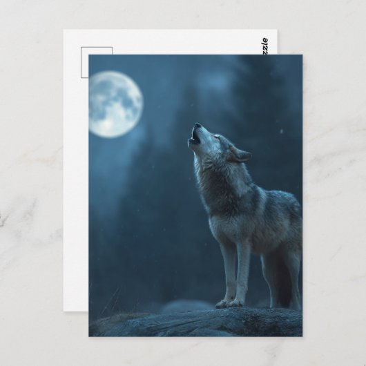 Carte Postale A Howling Wolf (Devant / Derrière)