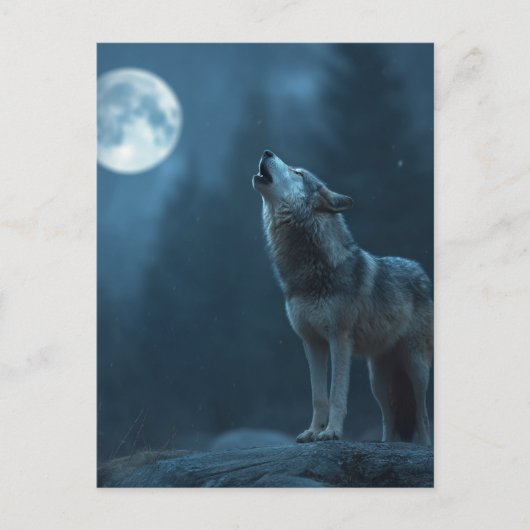 Carte Postale A Howling Wolf (Devant)