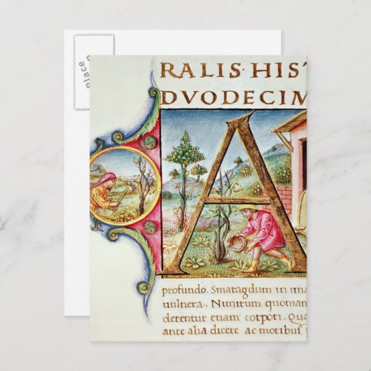 Carte Postale 'A' initial historique représentant (Devant / Derrière)