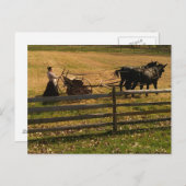 Carte Postale À la ferme (Devant / Derrière)