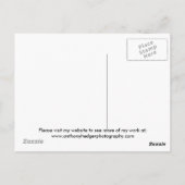 Carte Postale À la lumière de la lune argentée. (Dos)