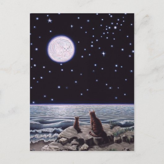 Carte Postale À la lumière de la lune de poisson de chat (Devant)