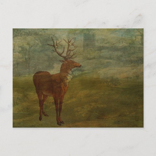 Carte Postale A la recherche de Landseer (Devant)