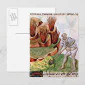 Carte Postale A la recherche de soufre, Dioscorides 'De Herbis' (Devant / Derrière)