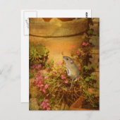 Carte Postale A la recherche d'une maison. (Devant / Derrière)