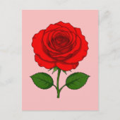 Carte postale à la rose rouge (Devant)