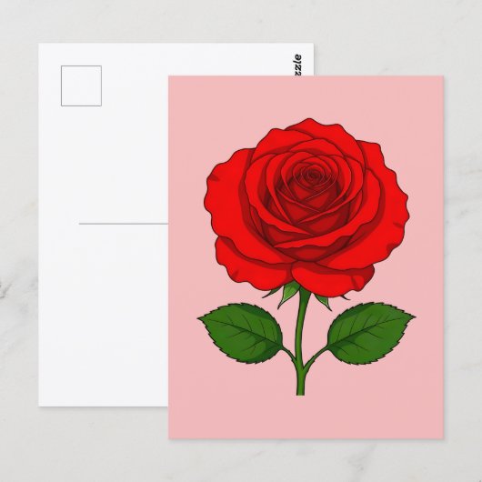 Carte postale à la rose rouge (Devant / Derrière)