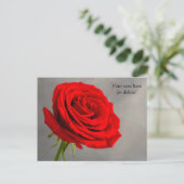 Carte postale à la rose rouge unique (Debout devant)