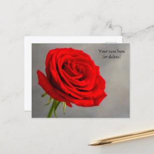 Carte postale à la rose rouge unique