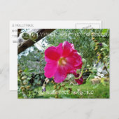 Carte postale à l'hollyhock (Devant / Derrière)