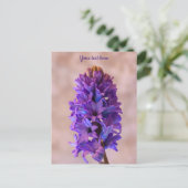 Carte postale à l'hyacinthe bleue (Debout devant)