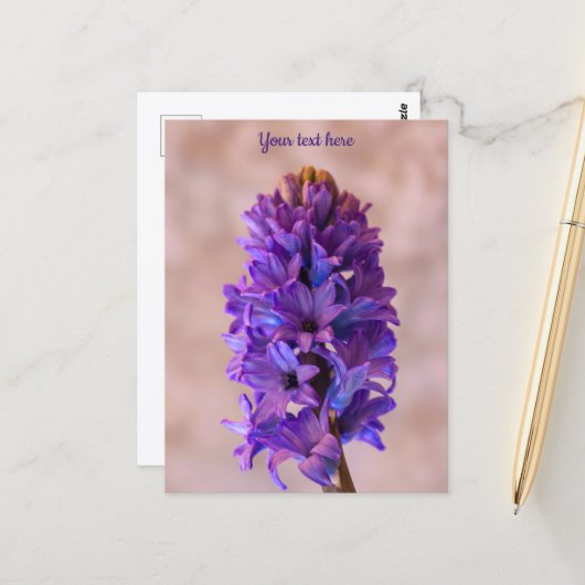 Carte postale à l'hyacinthe bleue (Devant/Arrière en situation)