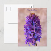 Carte postale à l'hyacinthe bleue (Devant / Derrière)
