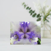 Carte Postale À l'intérieur d'un Iris (Debout devant)