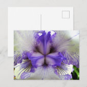 Carte Postale À l'intérieur d'un Iris (Devant / Derrière)
