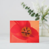 Carte Postale À l'intérieur d'une tulipe (Debout devant)