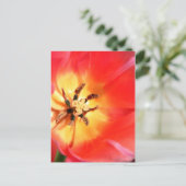 Carte Postale À l'intérieur d'une tulipe (Debout devant)