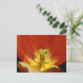 Carte Postale À l'intérieur d'une tulipe (Debout devant)