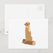 Carte Postale A Meerkat (Devant / Derrière)