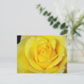 Carte postale à motif de rose jaune unique (Debout devant)