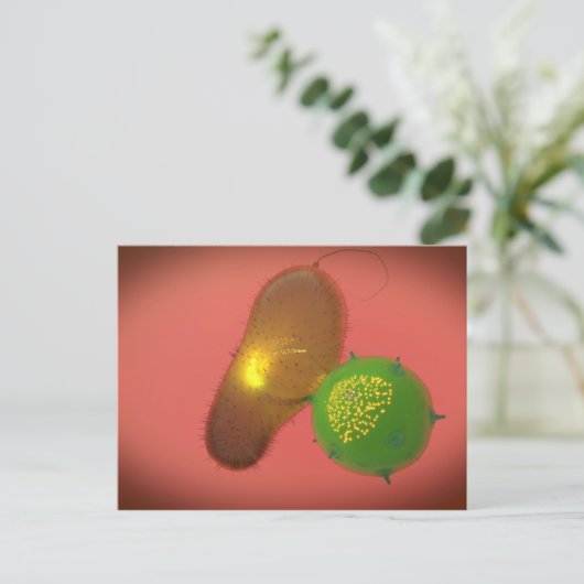 Carte Postale A Natural Killer Cell Injects Toxin (Debout devant)