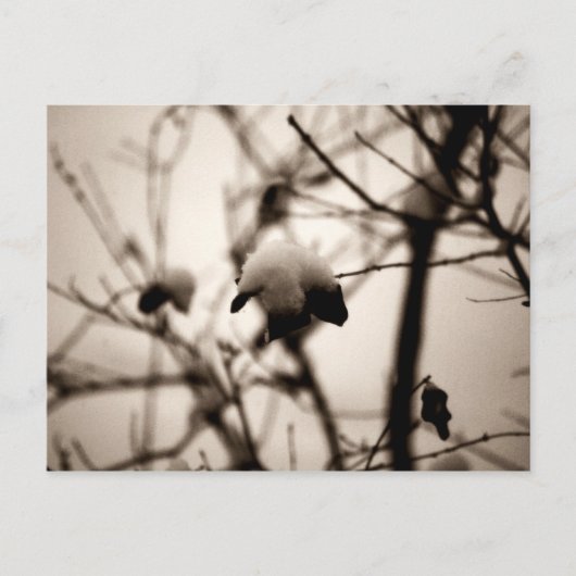 Carte postale à neige en poudre (Devant)