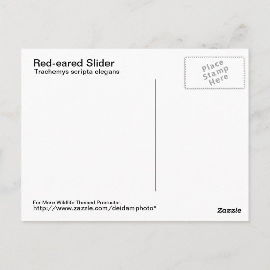 Carte postale à oreilles rouges (Dos)