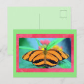 Carte postale à papillon (Devant / Derrière)
