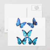 Carte postale à papillons (Devant / Derrière)