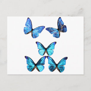 Carte postale à papillons