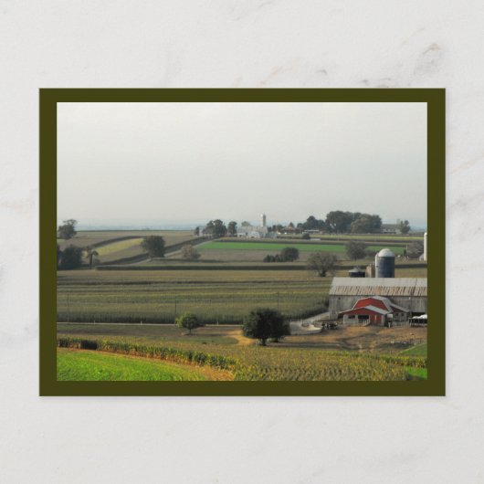 Carte Postale À partir du niveau Grasshopper (Devant)