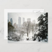 Carte Postale A Pedicab in Central Park During Winter (Devant / Derrière)