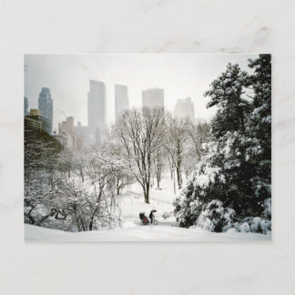 Carte Postale A Pedicab in Central Park During Winter