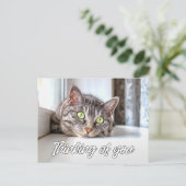 Carte Postale À penser à vous - Adorable chaton (Debout devant)