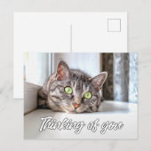 Carte Postale À penser à vous - Adorable chaton (Devant / Derrière)
