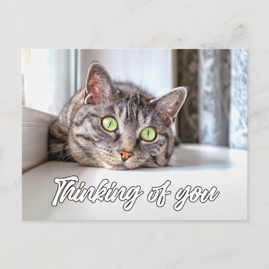 Carte Postale À penser à vous - Adorable chaton (Devant)