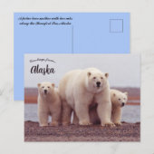 Carte Postale A Polar Bear Mother With Her Cubs in Alaska (Devant / Derrière)