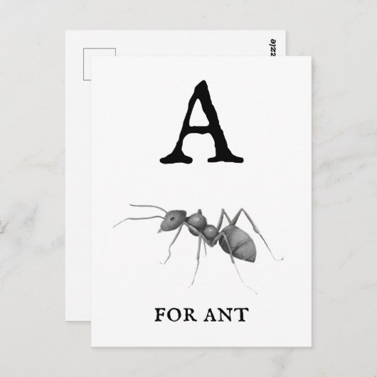 Carte Postale "A" pour Ant (Devant / Derrière)