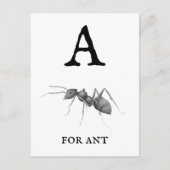 Carte Postale "A" pour Ant (Devant)