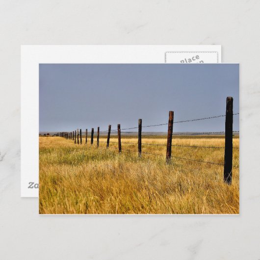 Carte Postale A Prairie Mile (Devant / Derrière)