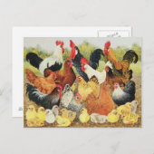 Carte Postale À propos de (Devant / Derrière)