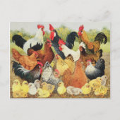 Carte Postale À propos de (Devant)