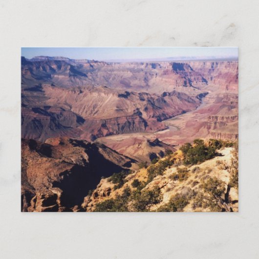 Carte Postale A propos de Grand Canyon Postcard (Devant)