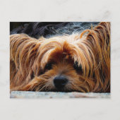 Carte postale à puce (Devant)