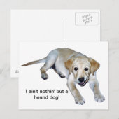 Carte postale à puce du Labrador jaune (Devant / Derrière)