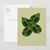 Carte postale à quatre Feuilles (Devant / Derrière)