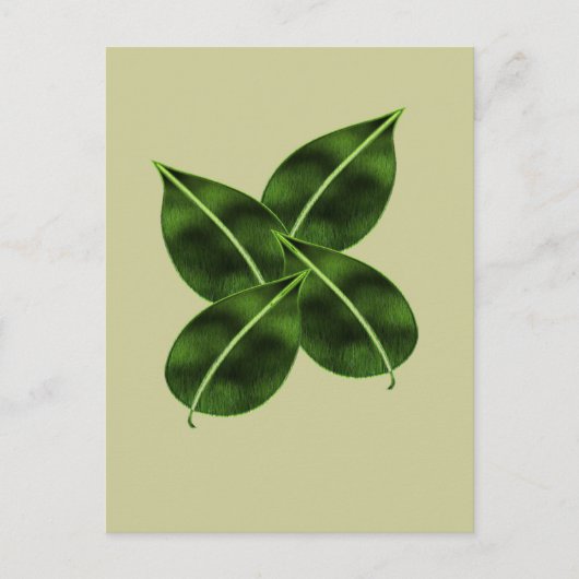 Carte postale à quatre Feuilles (Devant)