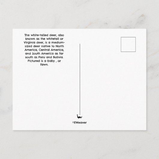 Carte postale à queue blanche (Dos)