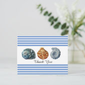 Carte postale à rayure bleue avec coquillages (Debout devant)