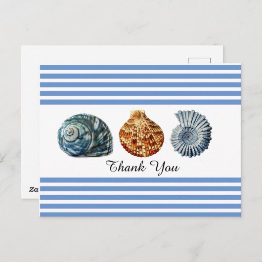 Carte postale à rayure bleue avec coquillages (Devant / Derrière)